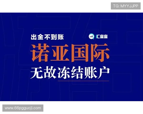 深入探讨:novox诺亚国际是否正规可信? 深入探讨:novox诺亚国际是否正规可信?